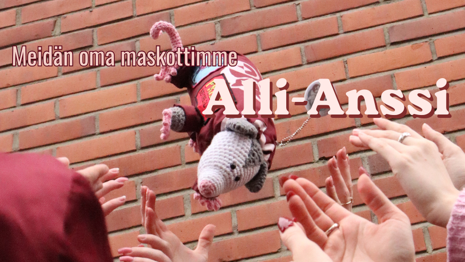 Meidän oma Alli-Anssi